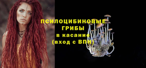 мяу мяу кристалл Алексин